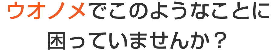 舟入 巻き爪,舟入 陥入爪